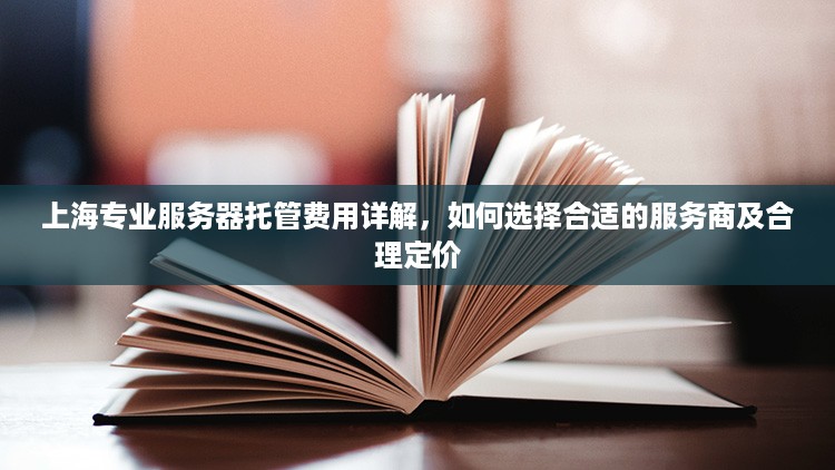 上海专业服务器托管费用详解，如何选择合适的服务商及合理定价