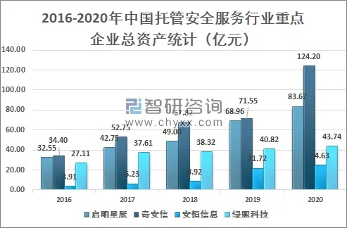 重庆市服务器托管市场全景解析与发展趋势