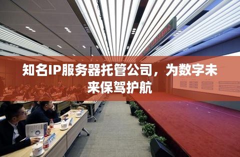 知名IP服务器托管公司，为数字未来保驾护航