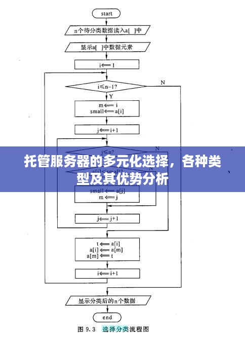 托管服务器的多元化选择，各种类型及其优势分析