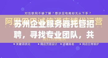 苏州企业服务器托管招聘，寻找专业团队，共创美好未来