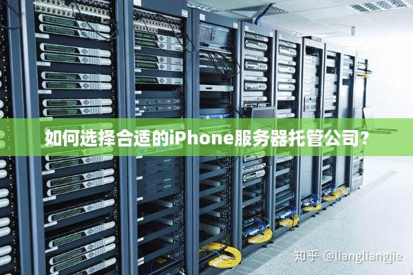 如何选择合适的iPhone服务器托管公司？