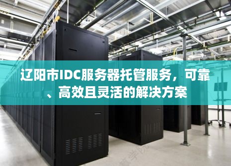 辽阳市IDC服务器托管服务，可靠、高效且灵活的解决方案