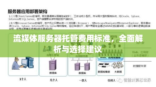 流媒体服务器托管费用标准，全面解析与选择建议