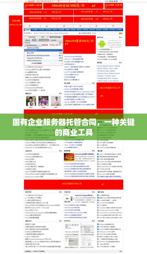 国有企业服务器托管合同，一种关键的商业工具