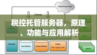 税控托管服务器，原理、功能与应用解析