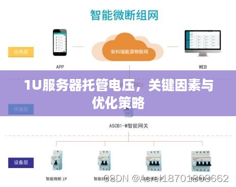 1U服务器托管电压，关键因素与优化策略