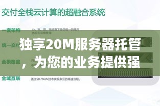 独享20M服务器托管，为您的业务提供强大的计算能力与安全保障