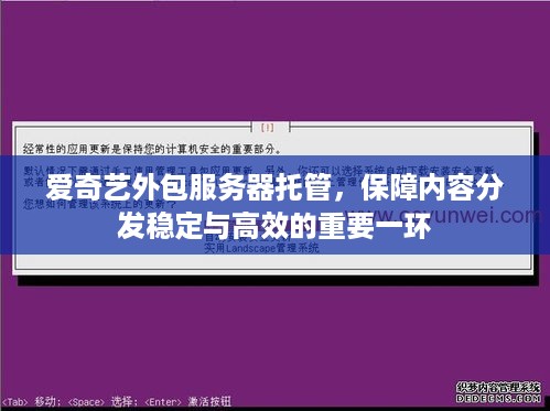 爱奇艺外包服务器托管，保障内容分发稳定与高效的重要一环