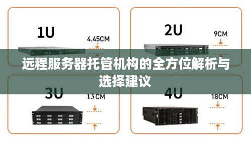 远程服务器托管机构的全方位解析与选择建议