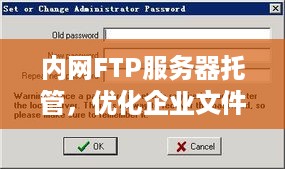 内网FTP服务器托管，优化企业文件传输与数据管理的终极解决方案