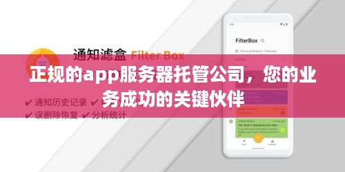 正规的app服务器托管公司，您的业务成功的关键伙伴