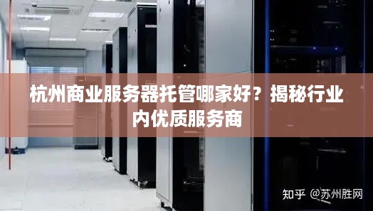 杭州商业服务器托管哪家好？揭秘行业内优质服务商