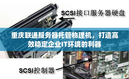 重庆联通服务器托管物理机，打造高效稳定企业IT环境的利器