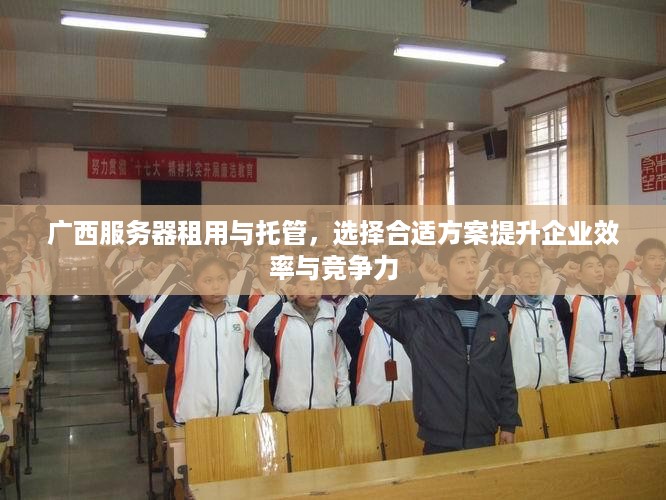 广西服务器租用与托管，选择合适方案提升企业效率与竞争力