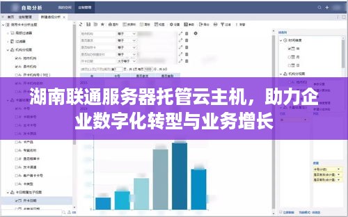 湖南联通服务器托管云主机，助力企业数字化转型与业务增长