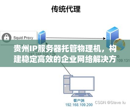 贵州IP服务器托管物理机，构建稳定高效的企业网络解决方案