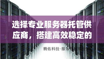 选择专业服务器托管供应商，搭建高效稳定的企业网络基础