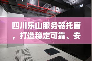 四川乐山服务器托管，打造稳定可靠、安全高效的网络环境