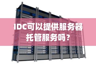 IDC可以提供服务器托管服务吗？