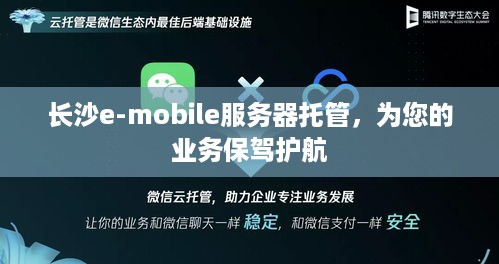 长沙e-mobile服务器托管，为您的业务保驾护航