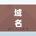 域名出租托管服务器，了解其原理、优势与选择建议