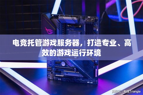 电竞托管游戏服务器，打造专业、高效的游戏运行环境