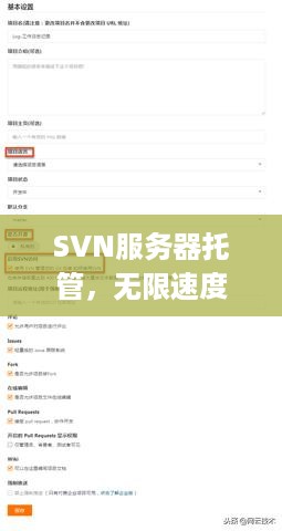 SVN服务器托管，无限速度，轻松管理代码版本