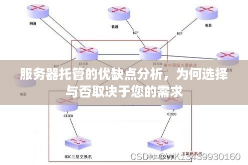 服务器托管的优缺点分析，为何选择与否取决于您的需求