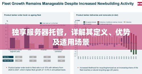 独享服务器托管，详解其定义、优势及适用场景