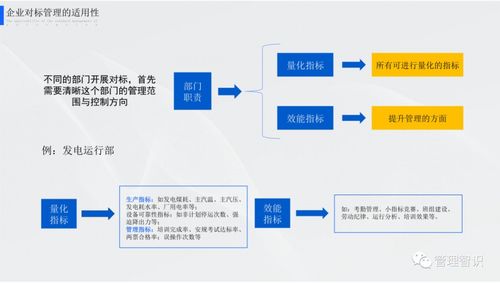 探索与实践，海外登陆托管服务器的全面解析