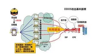 托管服务器漏洞，IP被封的解决方案与预防措施