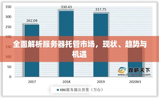 全面解析服务器托管市场，现状、趋势与机遇