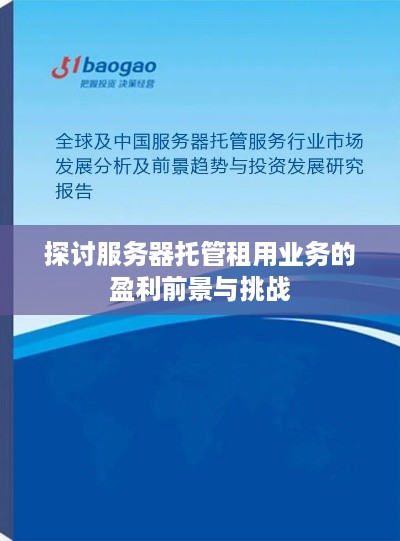 探讨服务器托管租用业务的盈利前景与挑战