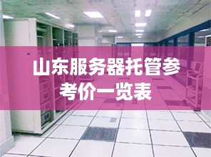 山东服务器托管参考价一览表