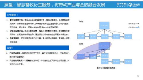 掌握数据安全与性能的关键，深度解析上海运营商服务器托管