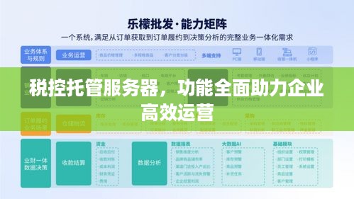 税控托管服务器，功能全面助力企业高效运营