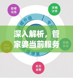 深入解析，管家婆当前服务器托管模式的优势与挑战