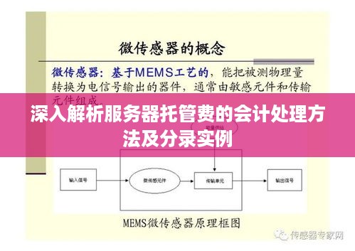 深入解析服务器托管费的会计处理方法及分录实例