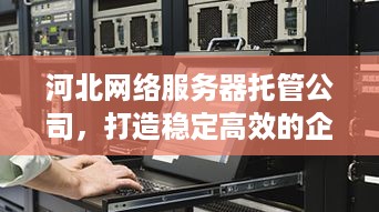 河北网络服务器托管公司，打造稳定高效的企业IT解决方案