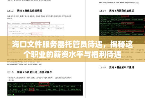 海口文件服务器托管员待遇，揭秘这个职业的薪资水平与福利待遇