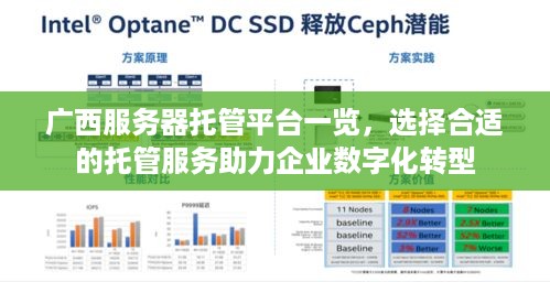 广西服务器托管平台一览，选择合适的托管服务助力企业数字化转型