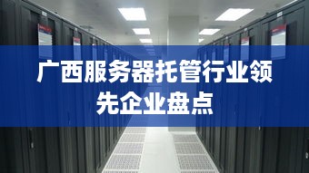 广西服务器托管行业领先企业盘点