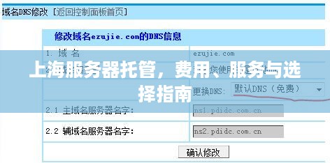 上海服务器托管，费用、服务与选择指南