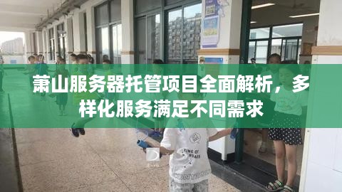 萧山服务器托管项目全面解析，多样化服务满足不同需求