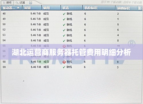 湖北运营商服务器托管费用明细分析