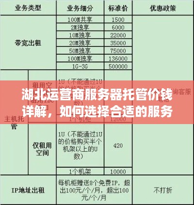 湖北运营商服务器托管价钱详解，如何选择合适的服务器托管服务