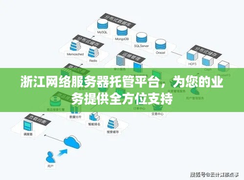 浙江网络服务器托管平台，为您的业务提供全方位支持