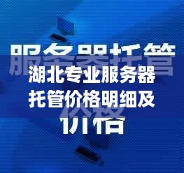 湖北专业服务器托管价格明细及影响因素分析