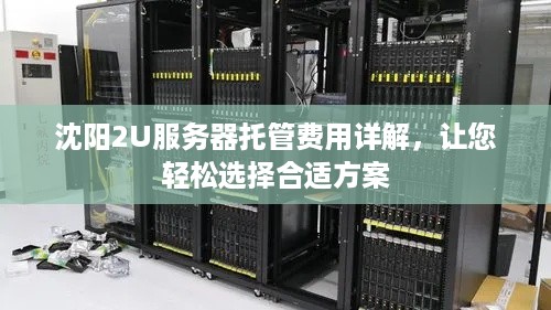 沈阳2U服务器托管费用详解，让您轻松选择合适方案